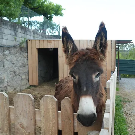 Holiday home Quintinha De Sa