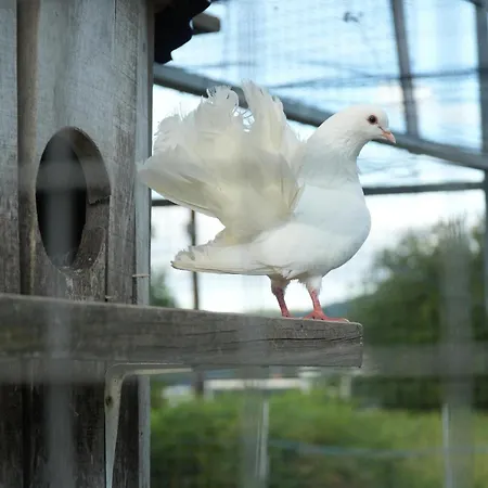 Holiday home Quintinha De Sa *