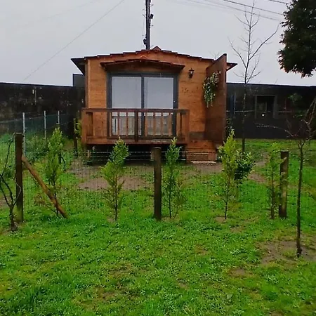 Holiday home Quintinha De Sa Arnoso