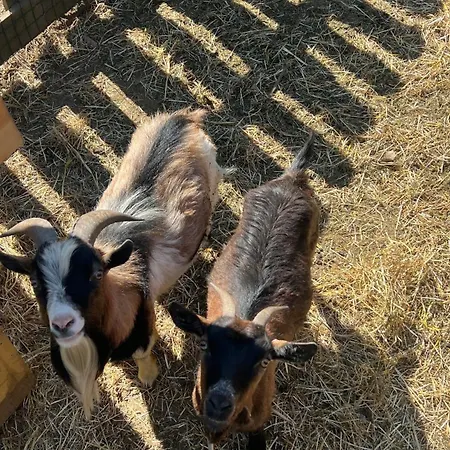 Quintinha De Sa Nyaraló Arnoso
