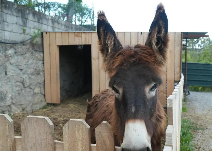 Holiday home Quintinha De Sa