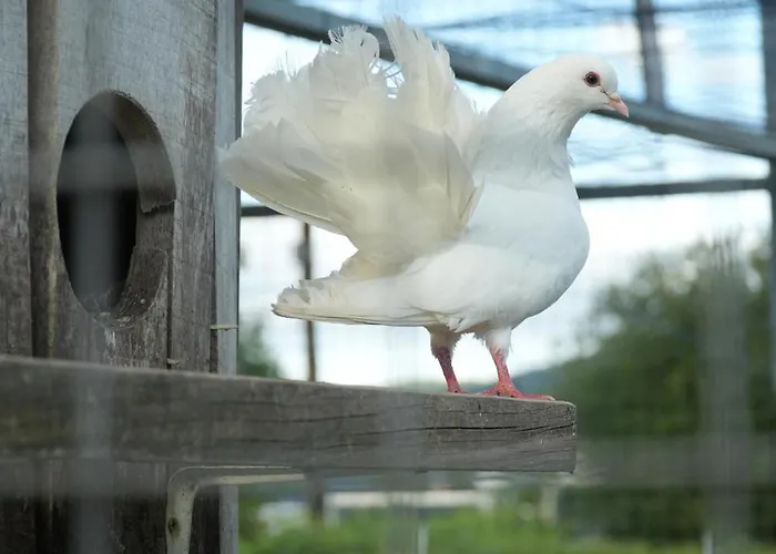 Holiday home Quintinha De Sa *