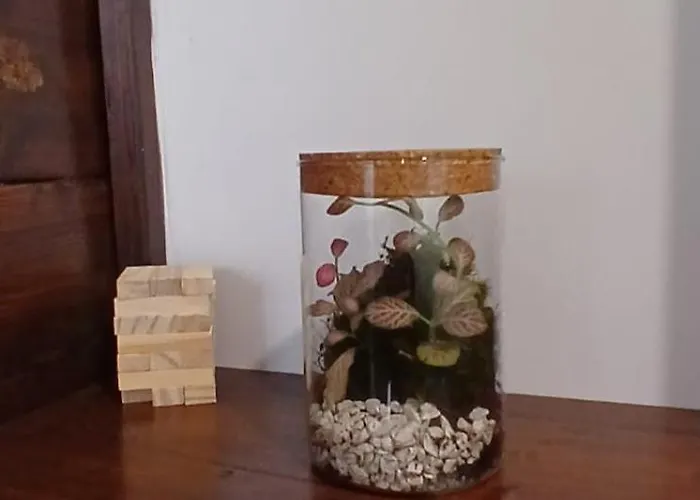 Holiday home Quintinha De Sa